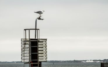 Fotografer i Esbjerg