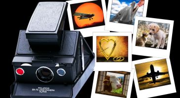 Hvordan funger er et polaroid kamera?
